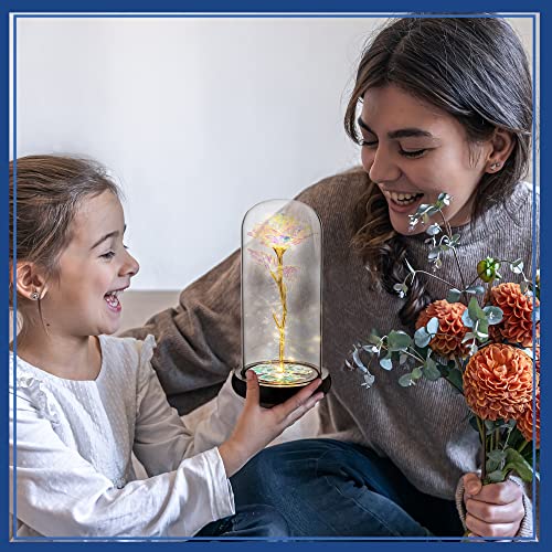 Galaxy LED Lighted Rose for Mothers' Day Gift