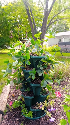 5 Tier Stackable Strawberry, Herb, Flower, & Vegetable Planter