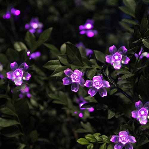 33 Feet 100 LED Cherry Flower Fairy String Lights Christmas, 8 Flash Modes with Tail Plug