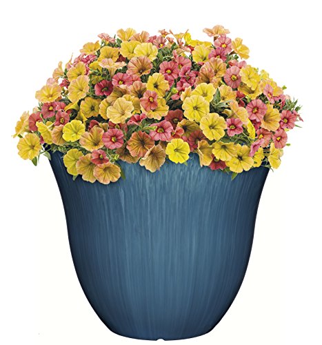 Honeysuckle Planter, Patio Pot, 15" Ocean