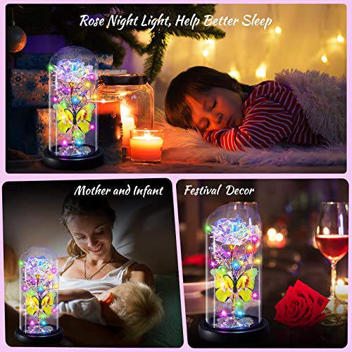 Enchanted Galaxy Light Up Butterfly Rose  Gifts in Glass Dome