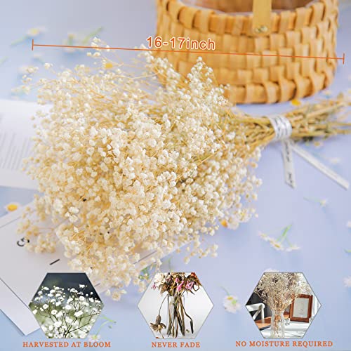 Dried-Babys-Breath-Flowers-Bouquet-17 inch
