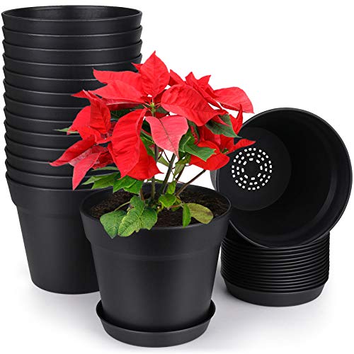 15 Pack 6 inch Plastic Planters w/ Multiple Drainage Holes & Tray