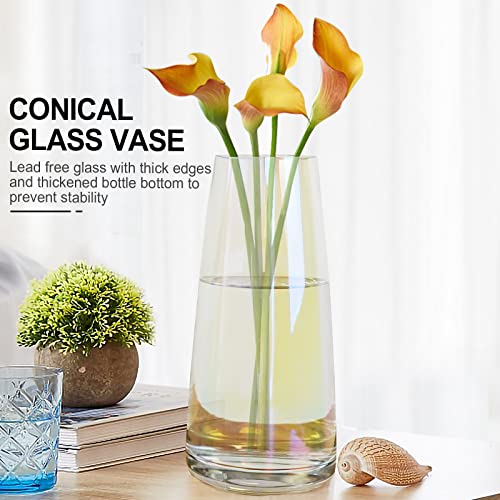 Modern Clear Glass Flower Vase 8.7 Inch