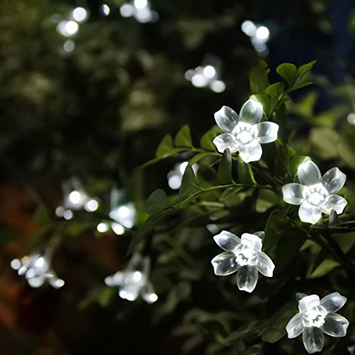 33 Feet 100 LED Cherry Flower Fairy String Lights Christmas, 8 Flash Modes with Tail Plug