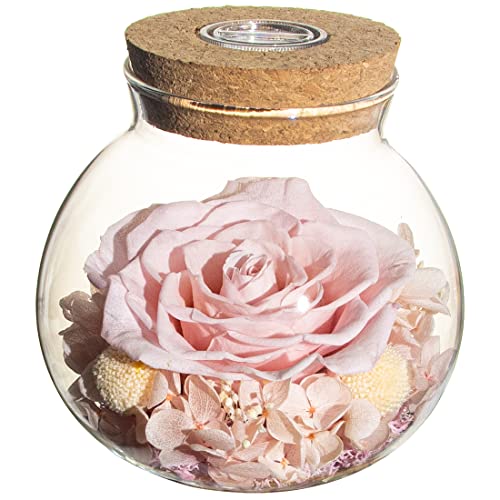 Preserved Real Roses w/  Colorful Mood Light Wishing Bottle