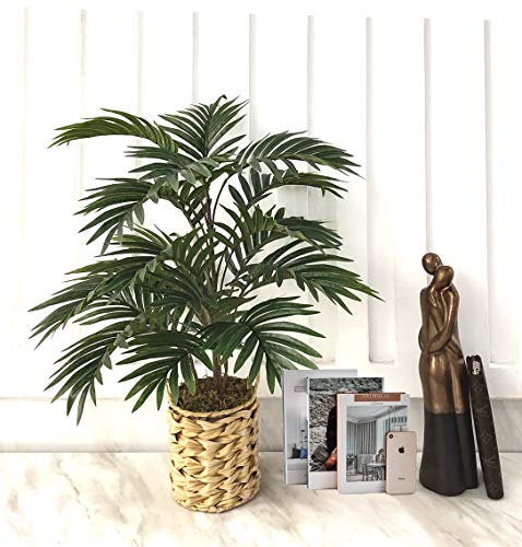 Artificial Palm Tree 24" for Home Decor