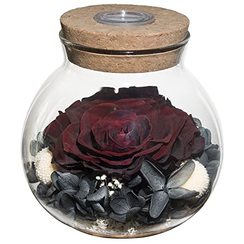 Preserved Real Roses w/  Colorful Mood Light Wishing Bottle