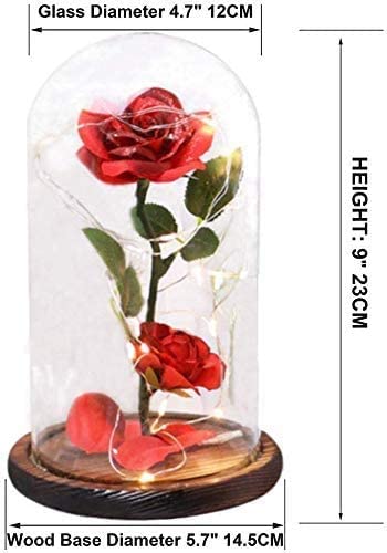 Valentine's Day Gifts for Her, Beauty and The Beast Rose Flowers, Unique Gift