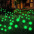 16LED Wind Dance Green Swaying Firefly Lights with Halloween  Outdoor Waterproof Solar Garden Lights