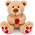 Valentines Day Gifts for Her Mom Wife Girlfriend,10 inch Rose Brown Teddy Bear