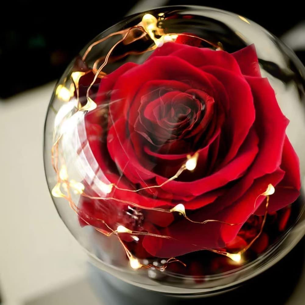 Artificial Flower Rose Light Up in A Glass Dome, Women Gifts for Her, Valentines, Anniversary, Mothers Day