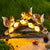 Squirrel Statues Solar Garden Decoration w/ 5 Calla Lily Lights