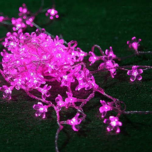 33 Feet 100 LED Cherry Flower Fairy String Lights Christmas, 8 Flash Modes with Tail Plug