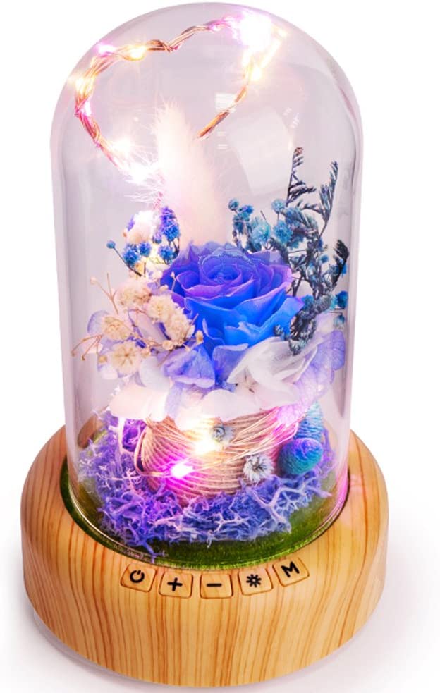 Blue Rose Led Lamp Real Preserved Rose in Glass Dome, Night Light w/ Bluetooth Speaker