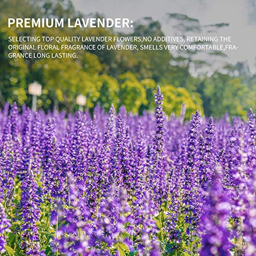 Real Dried Lavender Flowers Bundles 100% Natural Dry for Home Decorations 2 Pack (Purple)