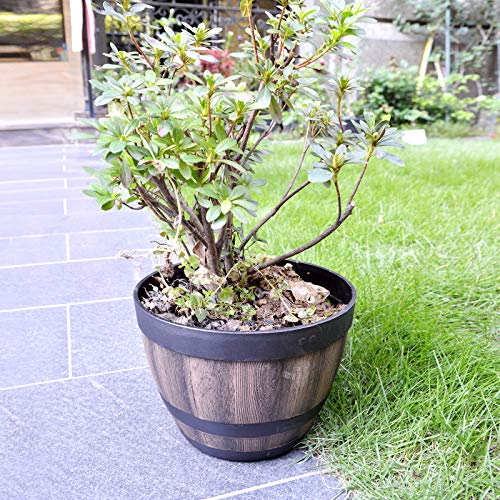 9 Inch Plant Pots w/ Drainage Holes & Saucer,2 Pack Brown