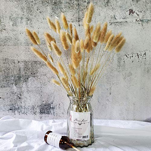 100 Pcs, Dried Bunny Tails Pampas for Flower Arrangements Home Decoration