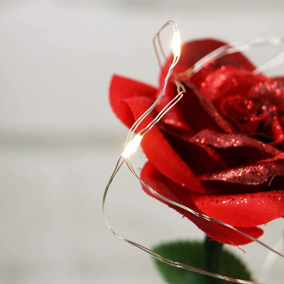 Valentine's Day Gifts for Her, Beauty and The Beast Rose Flowers, Unique Gift