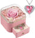 Valentines Day Gifts for Her, Preserved Pink Rose with Pink Necklace for Women