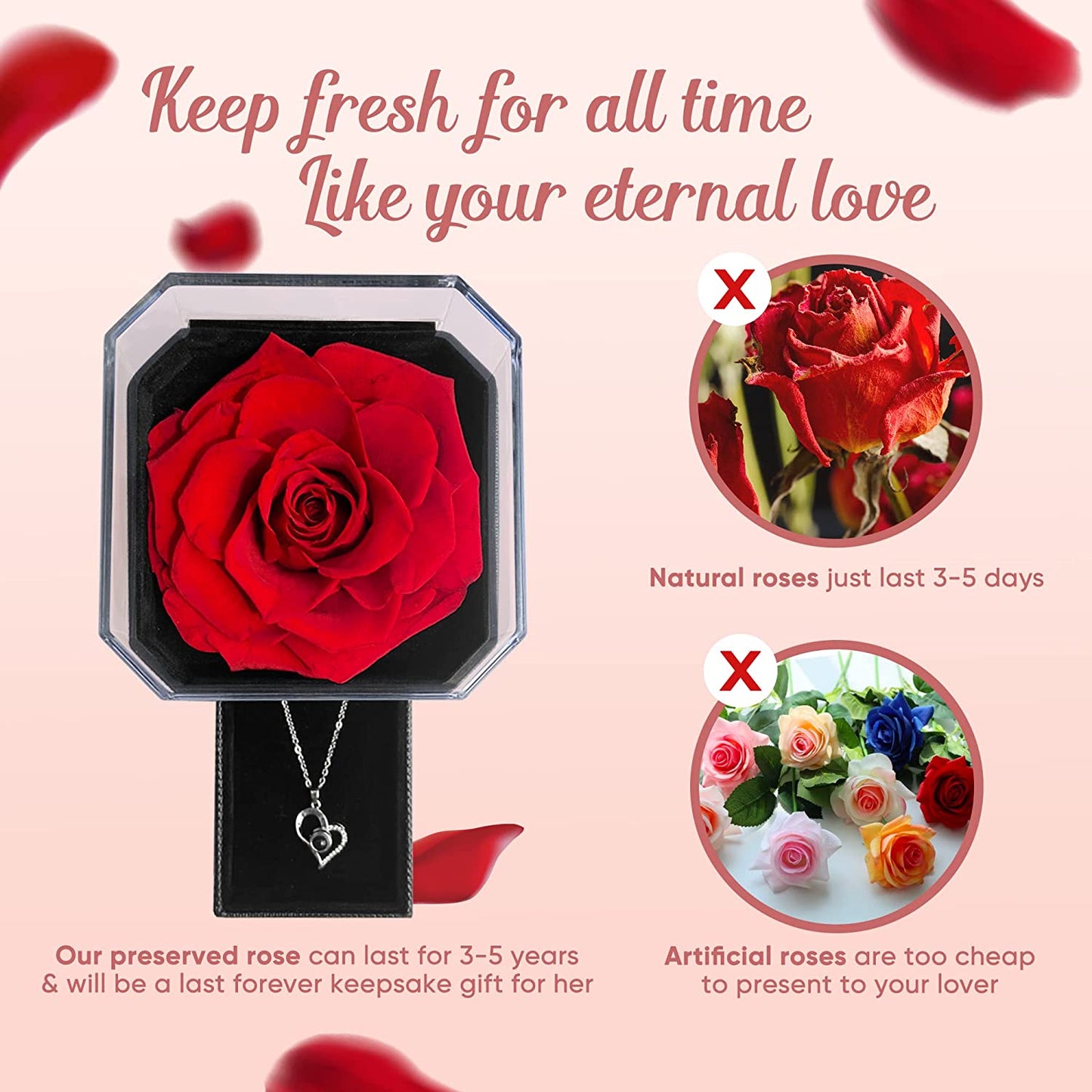 Preserved Rose w/ I Love You Necklace in 100 Languages, Red New Rose Box-Best Wishes