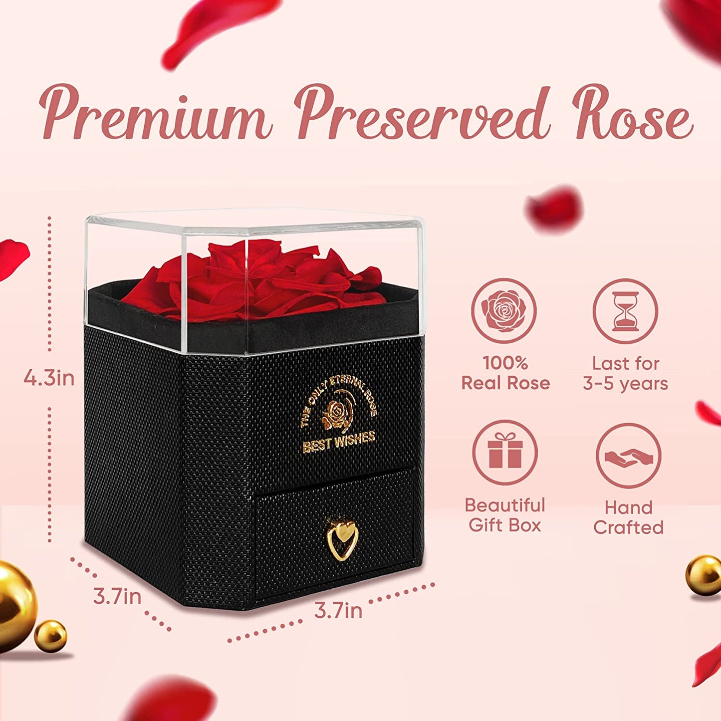 Preserved Rose w/ I Love You Necklace in 100 Languages, Red New Rose Box-Best Wishes