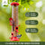 2 Pack Tube Bird Feeders Hanging, Premium Hard Plastic w/ 6 Feeding Ports, Weatherproof & Steel Hanger, (Red)