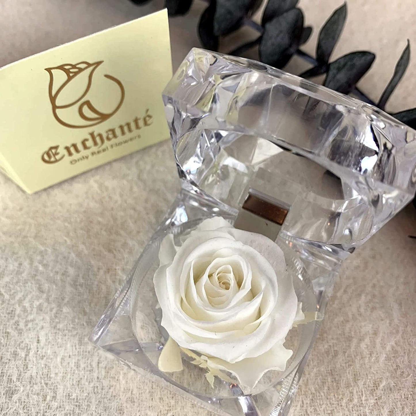 Preserved Forever Rose Acrylic Ring Box Gift for Women
