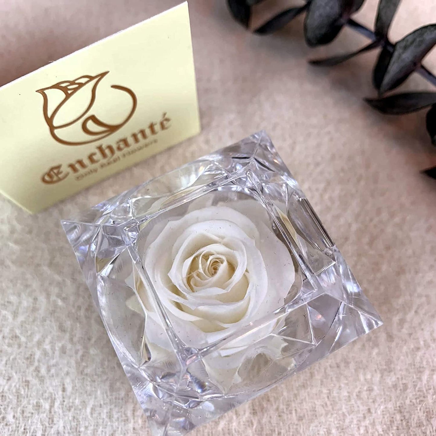 Preserved Forever Rose Acrylic Ring Box Gift for Women