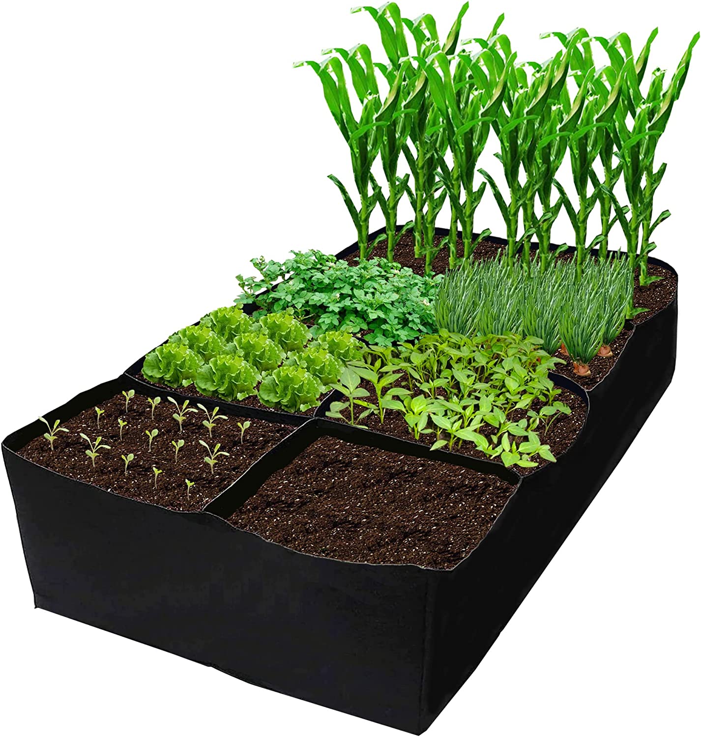 Fabric Raised Garden Bed 6x3x1ft for Growing Herbs, Flowers & Vegetables 128 Gallon