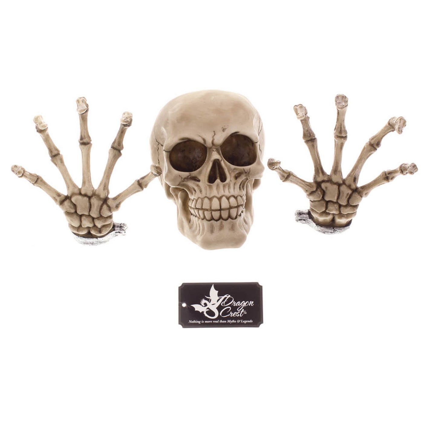 SKELETON WALL DECOR SET