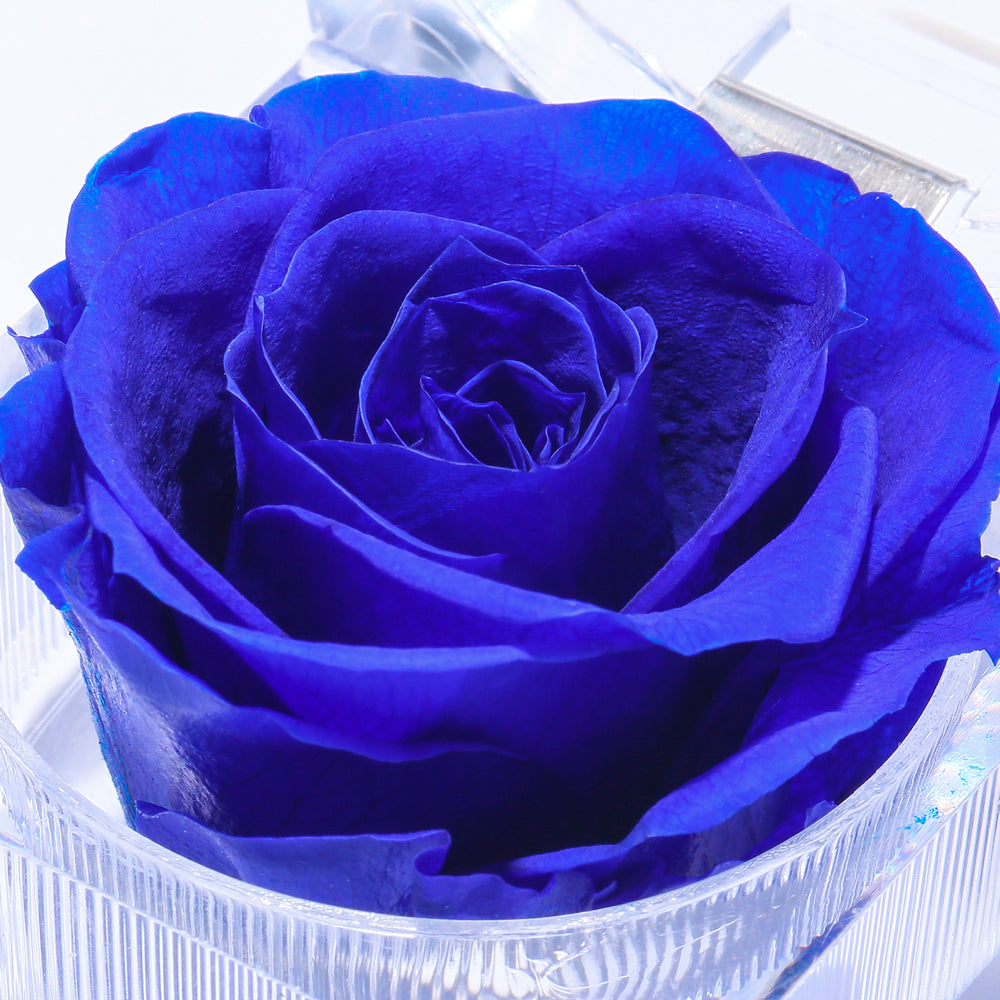 Preserved Forever Rose Acrylic Ring Box Gift for Women