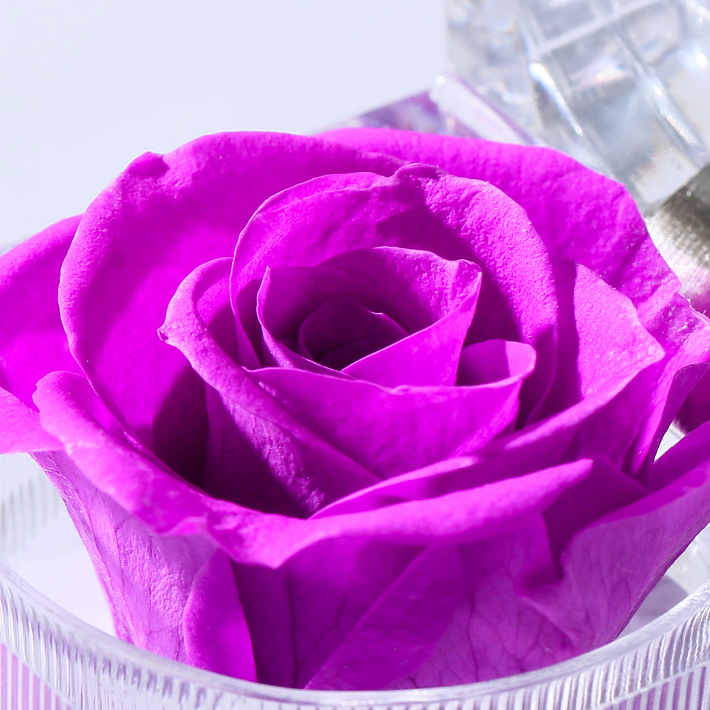 Preserved Forever Rose Acrylic Ring Box Gift for Women