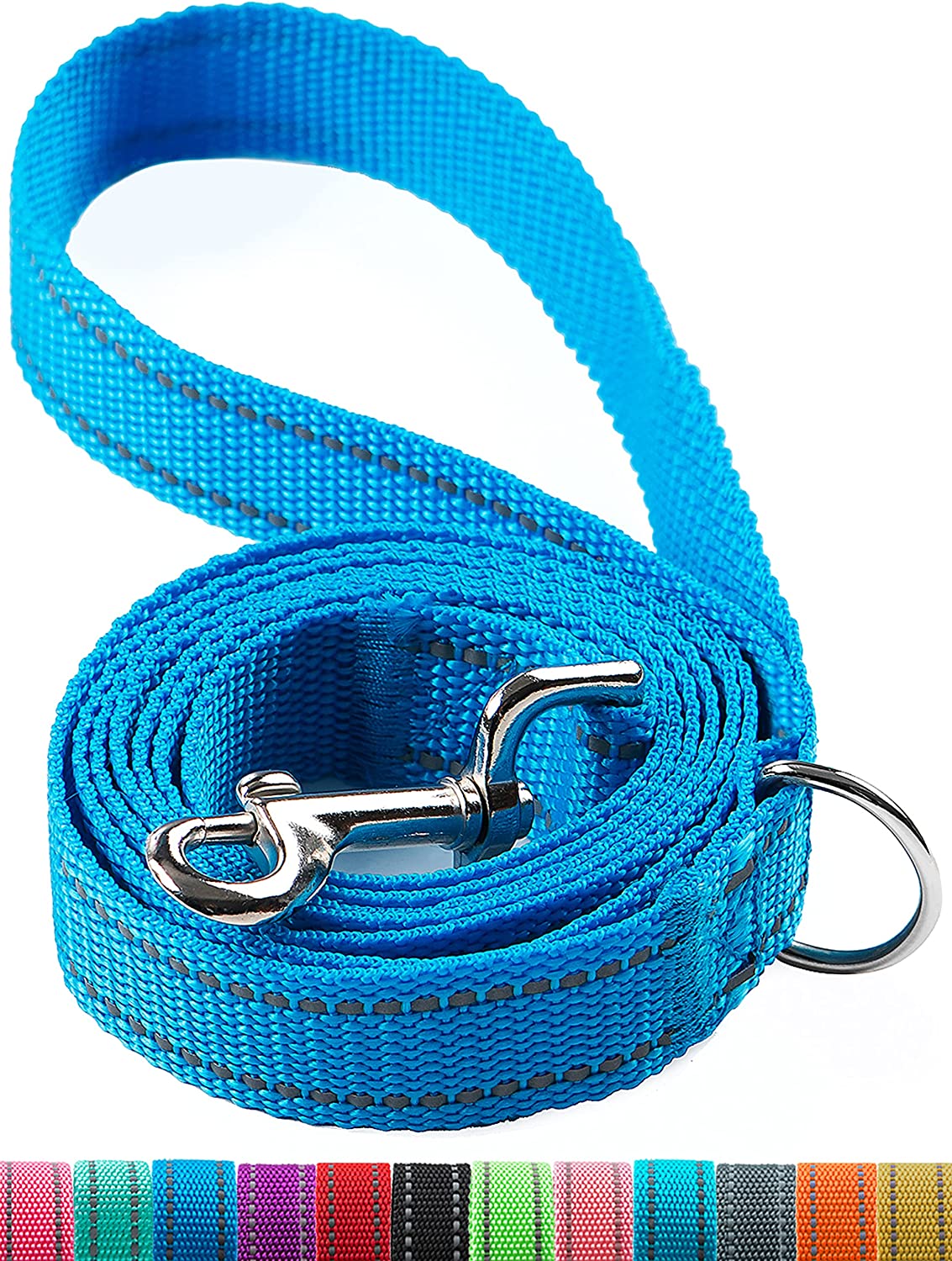 6FT Reflective Dog Leash for Large, Medium and Small Dogs, Strong Durable Nylon (Blue, 1 inch x 6FT)