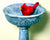 Fairy Garden Miniature, Cardinal Birdbath Pick