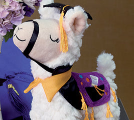 Decor Llama Graduation Plush