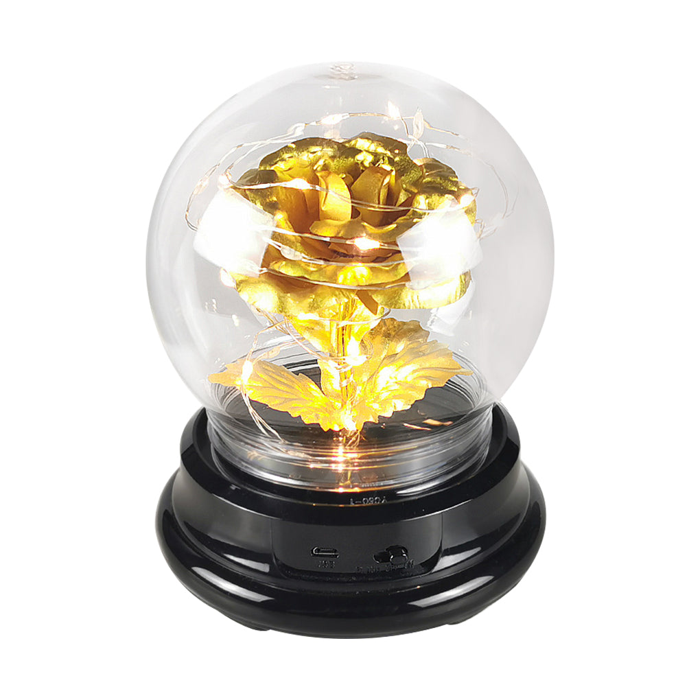 Rose Flower in Glass Dome Floral Globe w/ LED Light