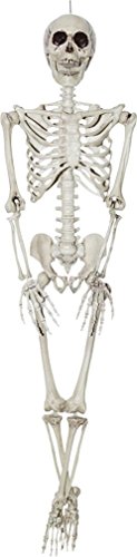 36" Fake Skeleton Halloween Prop