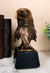 8.25"H Majestic Royal Bald Eagle Stoic Head Bust Taxidermy Figurine